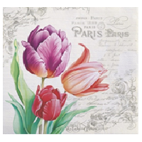 Салфетки 330х330 мм 3-сл., диз. "Винтажные тюльпаны", разноцв., бум., 20 шт/упак "Bouquet" 12 упак/кор РОССИЯ 25249