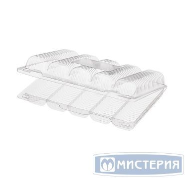 Упаковка прям. внеш. 237x164x48мм, внутр. 5 секций 125х45х40мм, на 5 эклеров 0,5кг, прозрачная, ОПС РК-28С5 (Т)