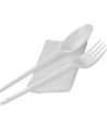 Комплект столовых приборов №3 [лож.ст.+ вил.: 165 мм, бел., ПС+ салф.], 300 шт/кор 300 шт/упак РОССИЯ 501323